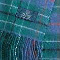картинка Clans Of Scotland Duncan Ancient от магазина  Mykilt